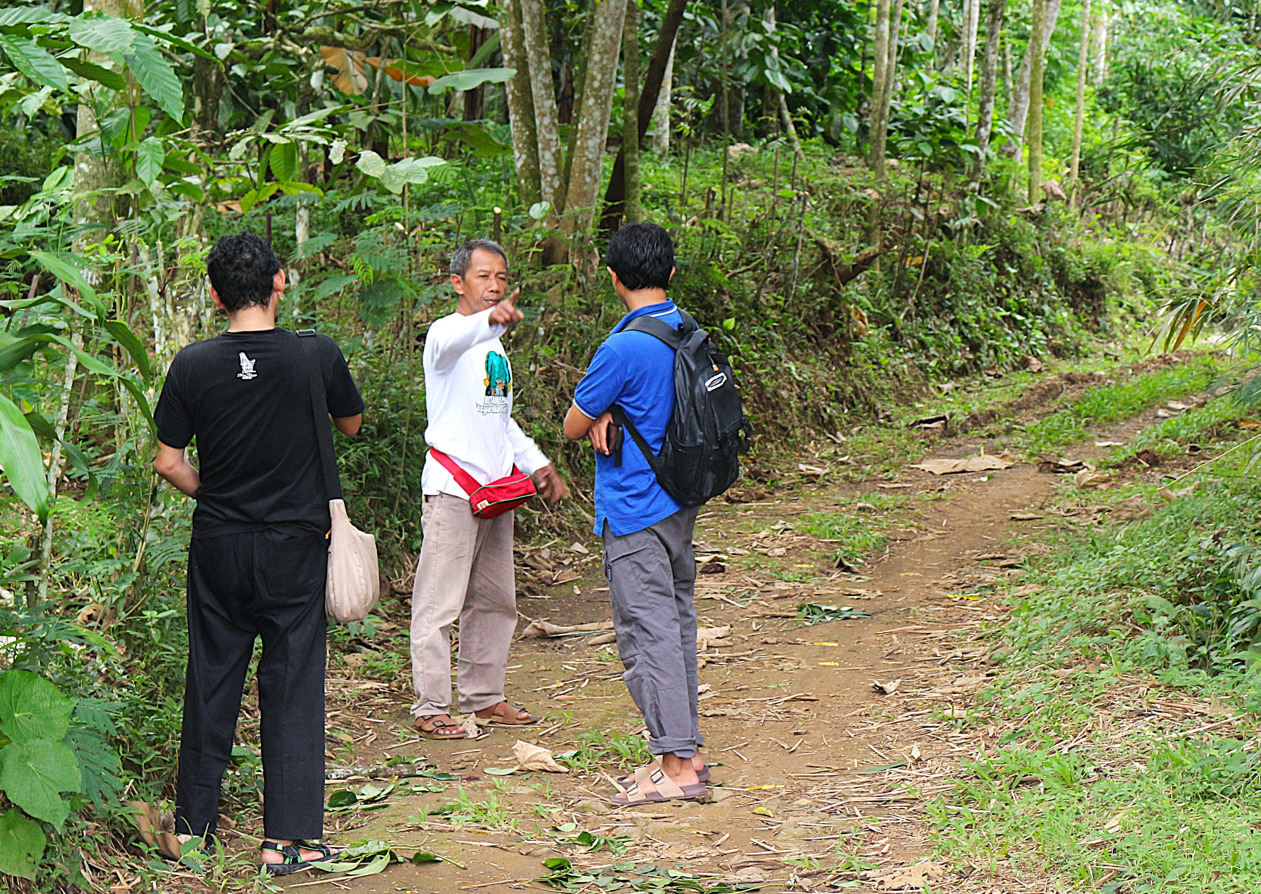 Coffee Garden Experience